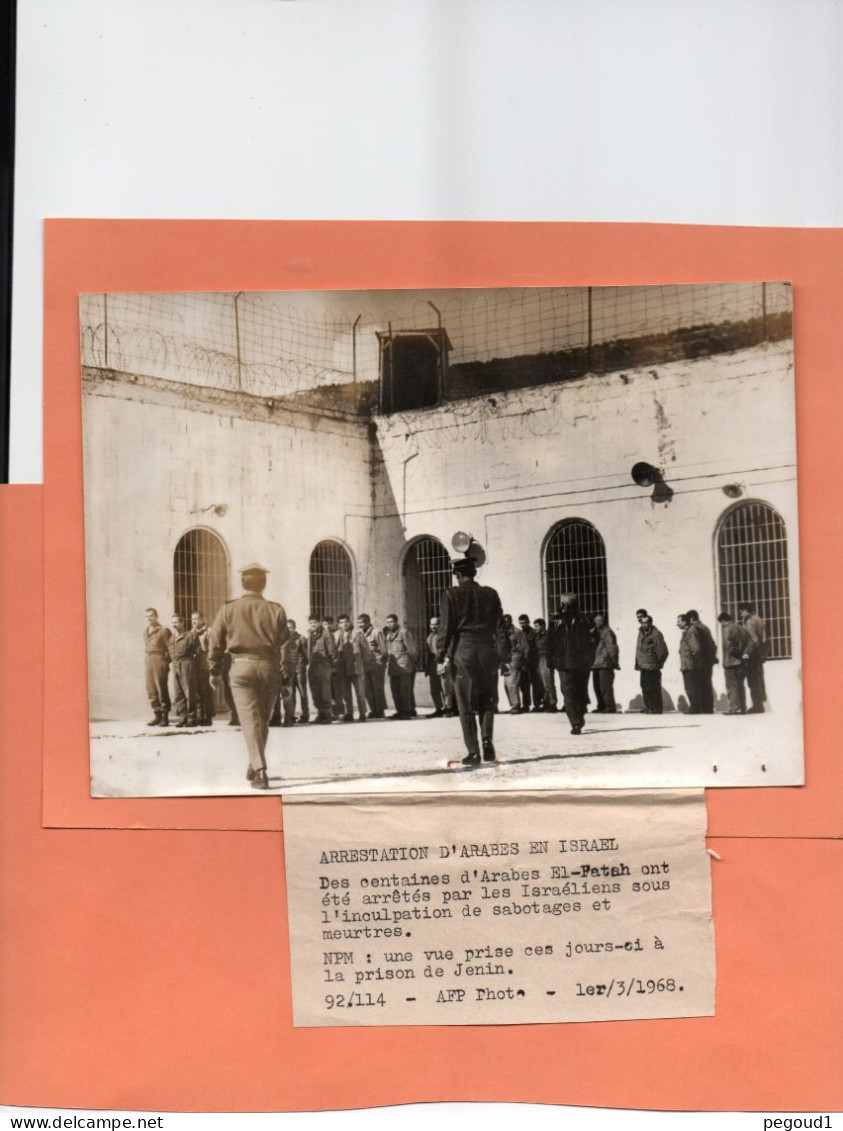 PHOTO. ISRAEL. ARABES EL-FATAH Mis En PRISON à JENIN. 1968  Achat Immédiat - Israel