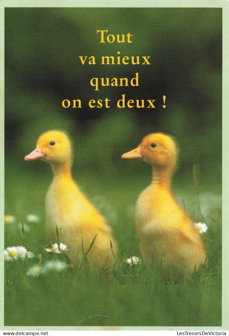 ANIMAUX  - Tout Va Mieux Quand On Est Deux ! - Deux Canetons - Carte Postale Ancienne - Autres & Non Classés