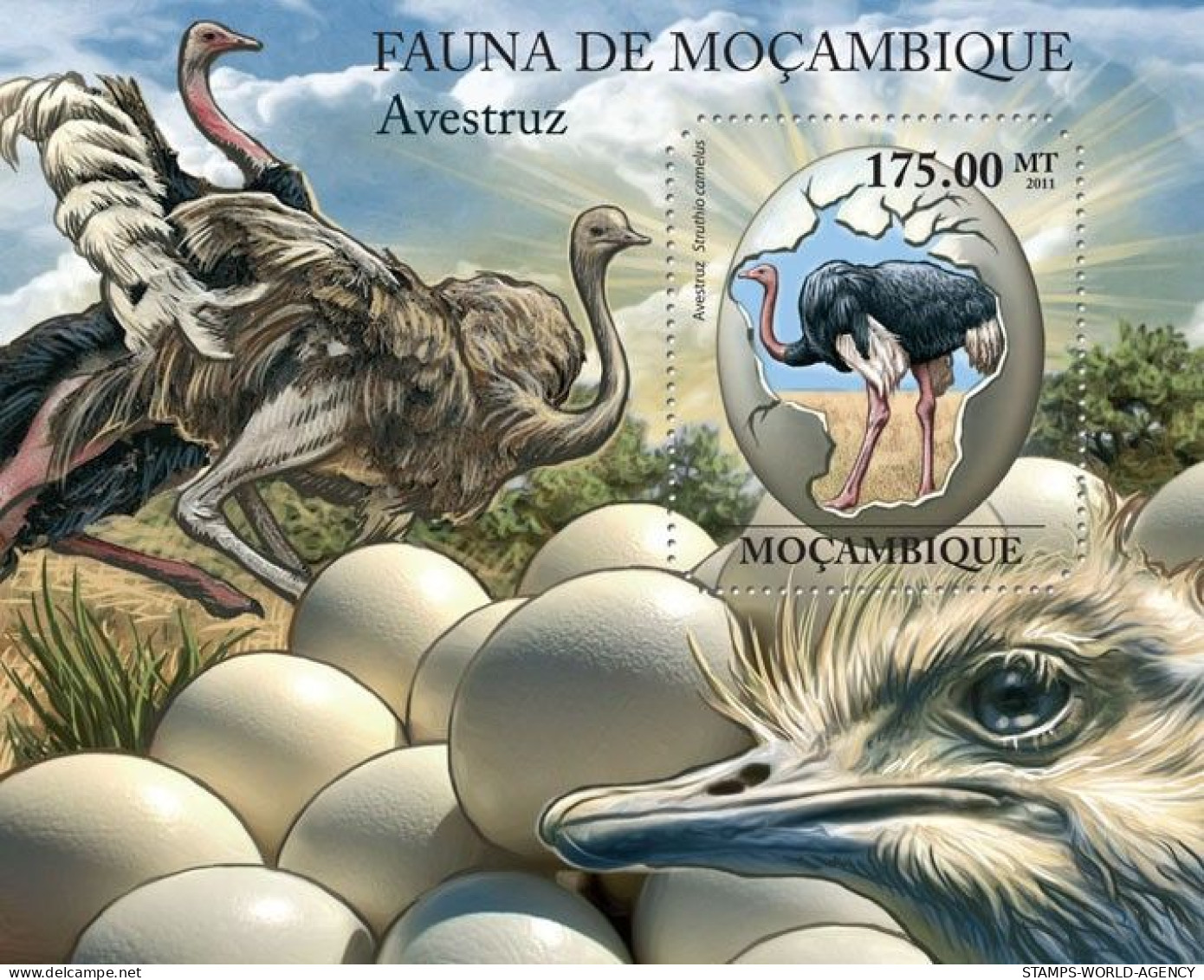 ( 250 42) - 2011- MOZAMBIQUE - OSTRICHS                1V  MNH** - Autruches