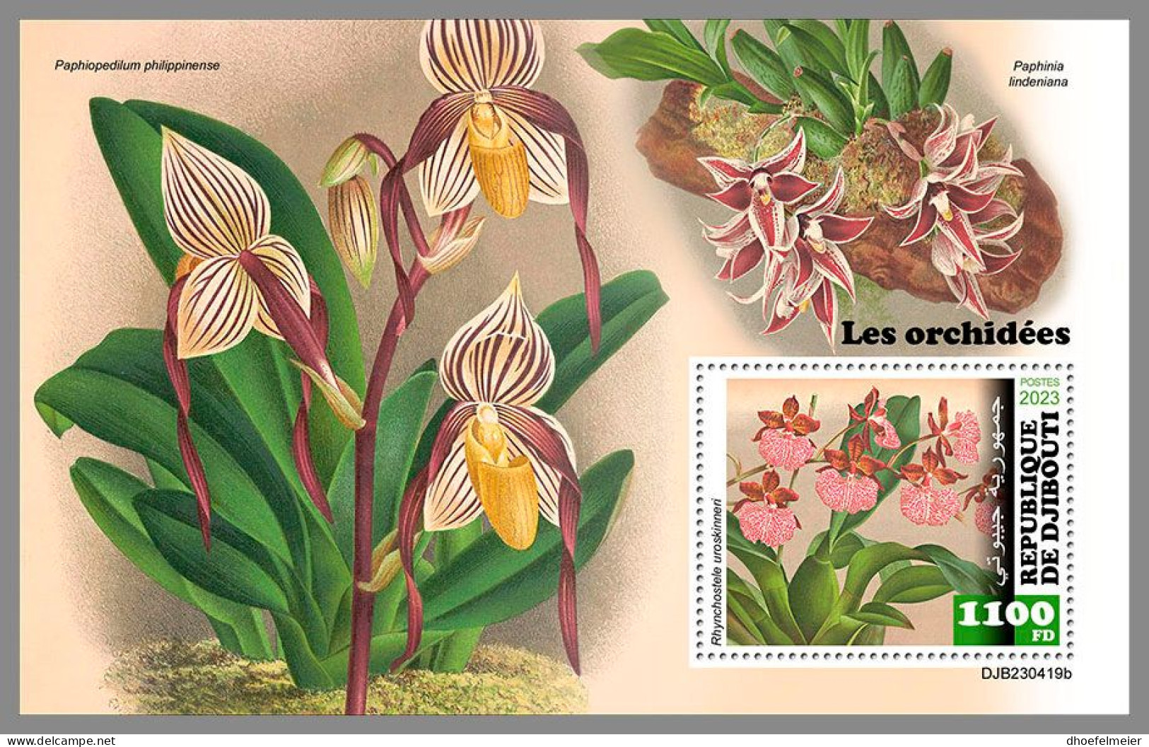 DJIBOUTI 2023 MNH Orchids Orchideen S/S – OFFICIAL ISSUE – DHQ2420 - Orchids