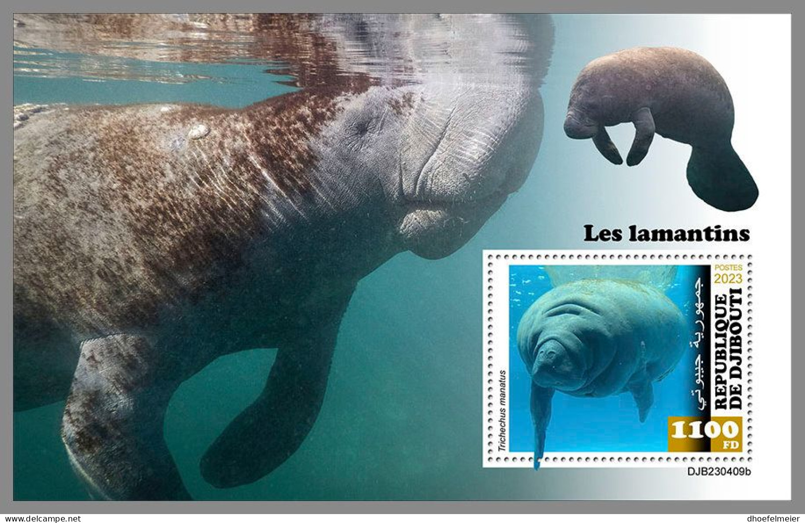 DJIBOUTI 2023 MNH Manatees S/S – OFFICIAL ISSUE – DHQ2420 - Other & Unclassified