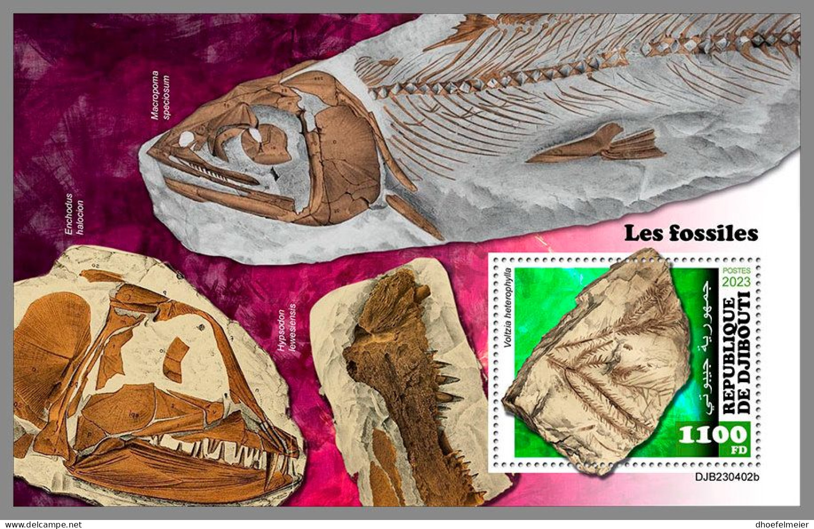 DJIBOUTI 2023 MNH Fossils Fossilien S/S – OFFICIAL ISSUE – DHQ2420 - Fossils