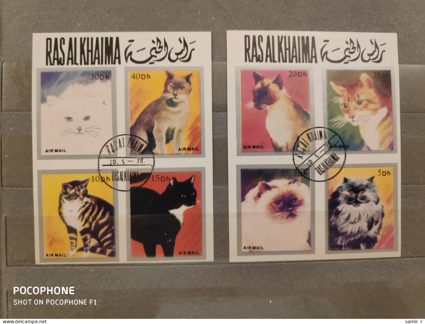 1978	Ras Al Khaima	Cats 4 - Ras Al-Khaimah