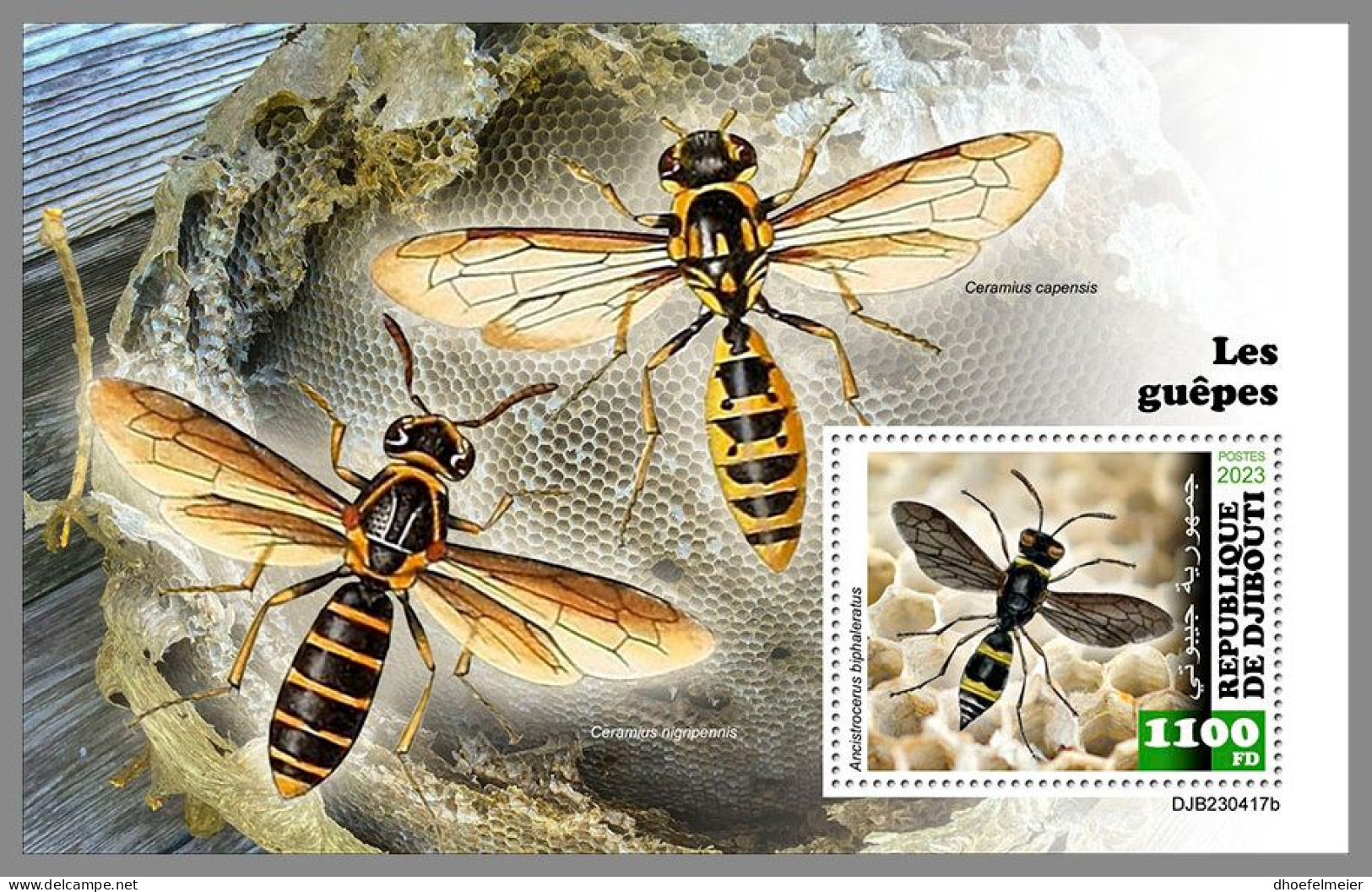 DJIBOUTI 2023 MNH Wasps Wespen S/S – IMPERFORATED – DHQ2420 - Other & Unclassified
