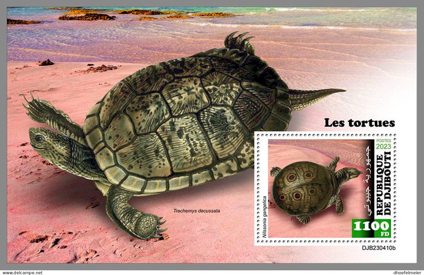 DJIBOUTI 2023 MNH Turtles Schildkröten S/S – IMPERFORATED – DHQ2420 - Tortues