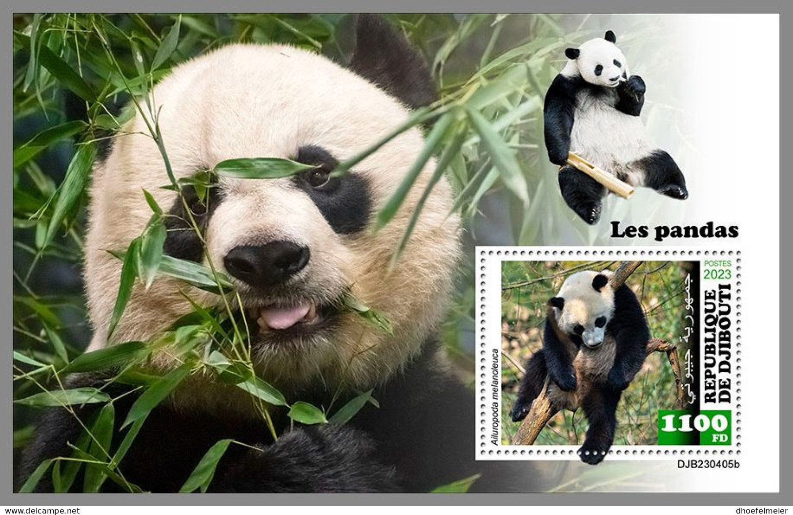 DJIBOUTI 2023 MNH Pandas Bears Bären S/S – IMPERFORATED – DHQ2420 - Ours