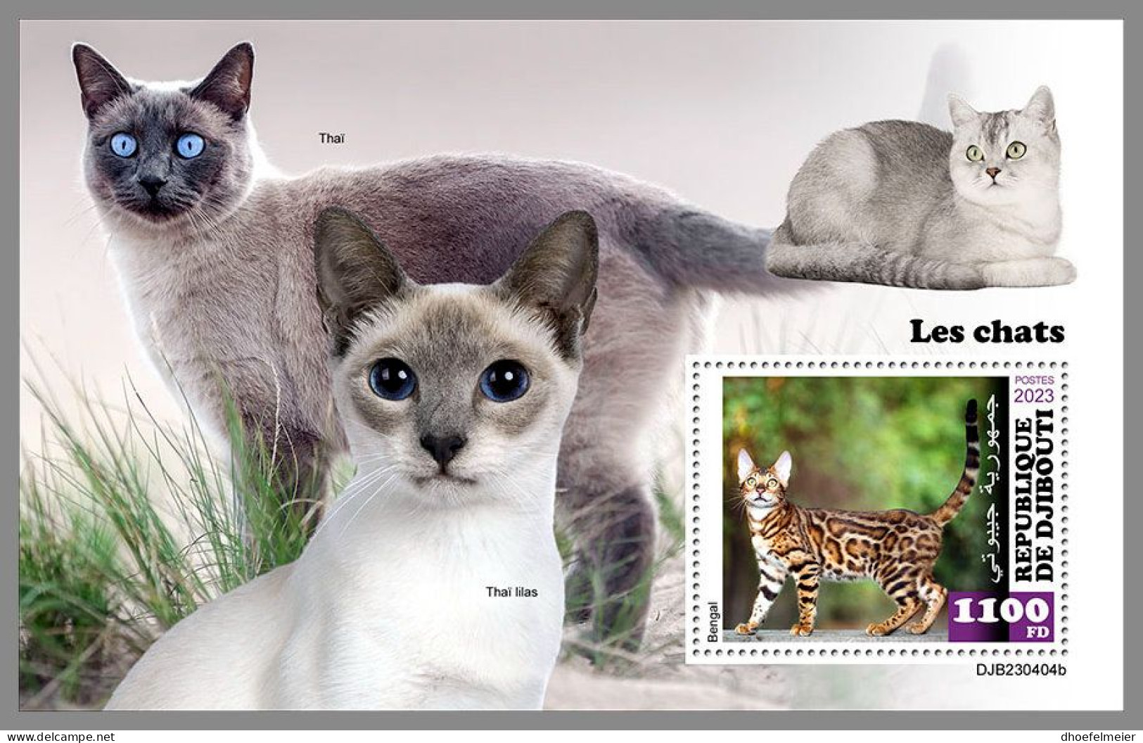 DJIBOUTI 2023 MNH Cats Katzen S/S – IMPERFORATED – DHQ2420 - Chats Domestiques
