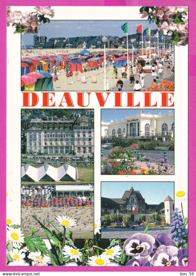 294142 / France - DEAUVILLE (Calvados) PC 1999 USED Marianne De Luquet TVP (3 F) Rouge Pour Roulette Flamme Sport Horse - Lettres & Documents