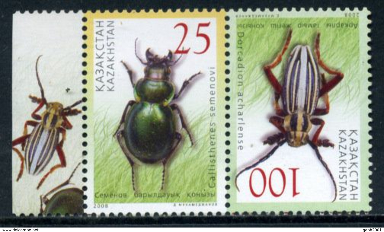 Kazakhstan 2008 / Insects Beetles MNH Insectos Escarabajos Insekten / Cm16  38-47 - Autres & Non Classés