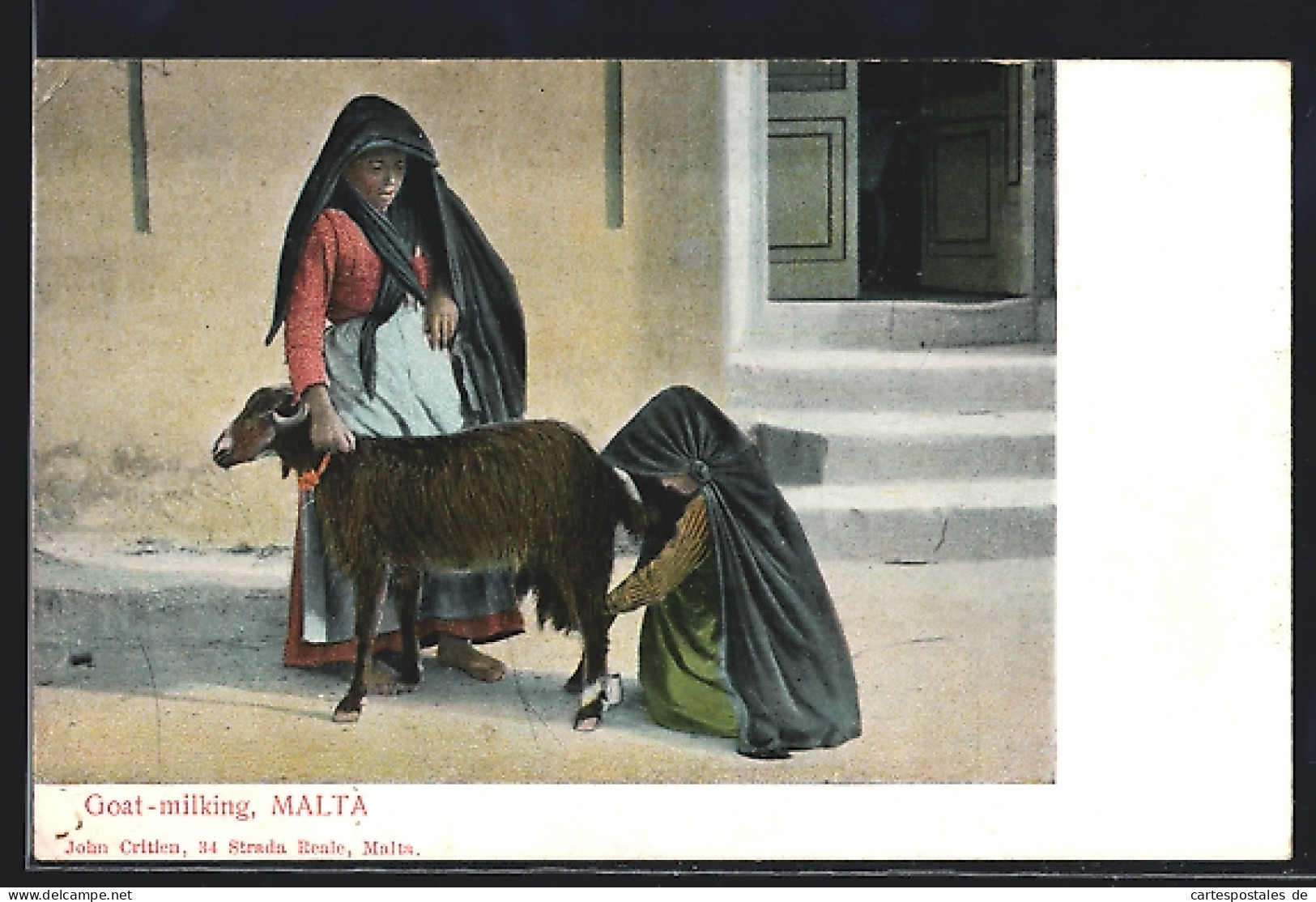 AK Malta, Goat-milking  - Malte