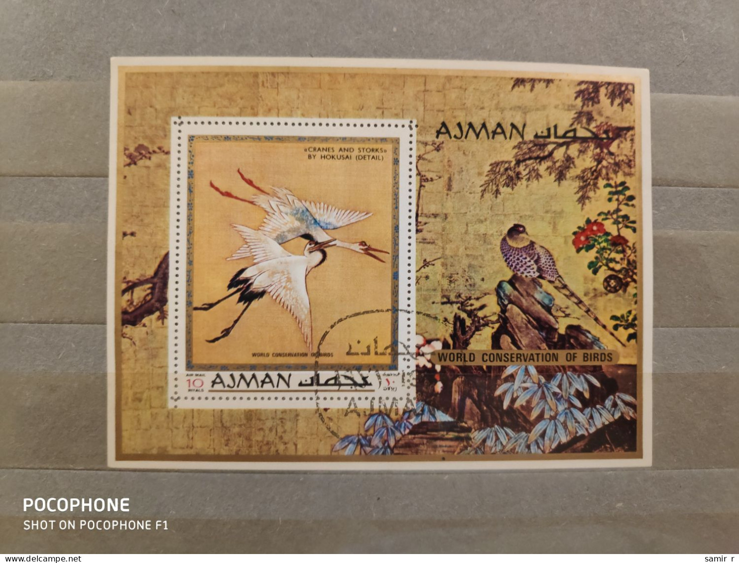 Ajman	Birds 5 - Ajman