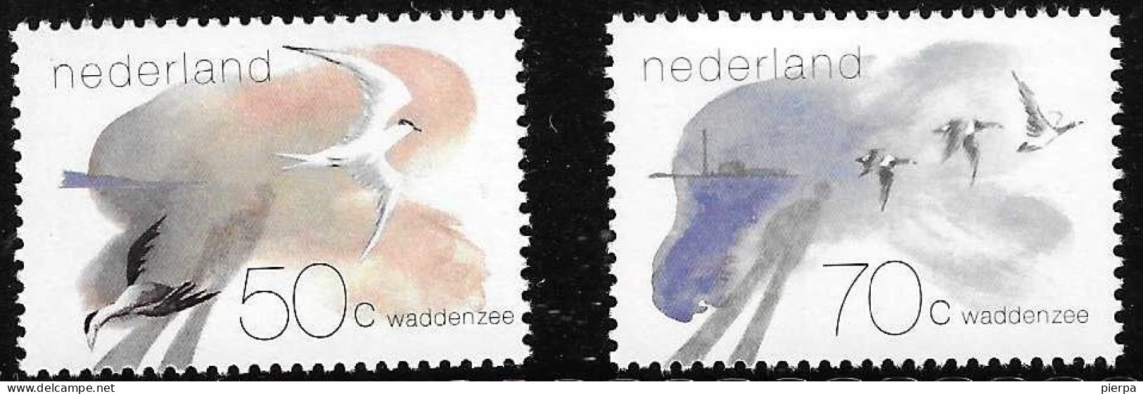OLANDA - 1982 - UCCELLI -  SERIE  2 VALORI - NUOVA MNH  (YVERT 1179\80 - MICHEL 1209\10) - Unused Stamps