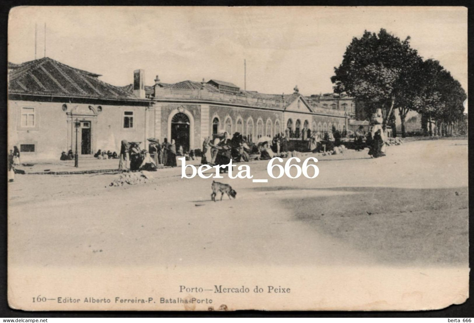 Porto * Mercado Do Peixe * Nº 160 Edição Alberto Ferreira - Porto