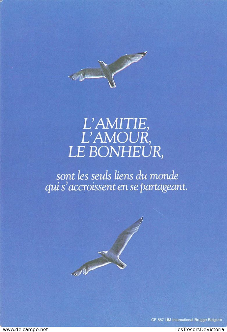 ANIMAUX - Oiseaux - Oiseaux En Plein Vol - Goéland - L'amitié L'amour Le Bonheur - Carte Postale - Birds