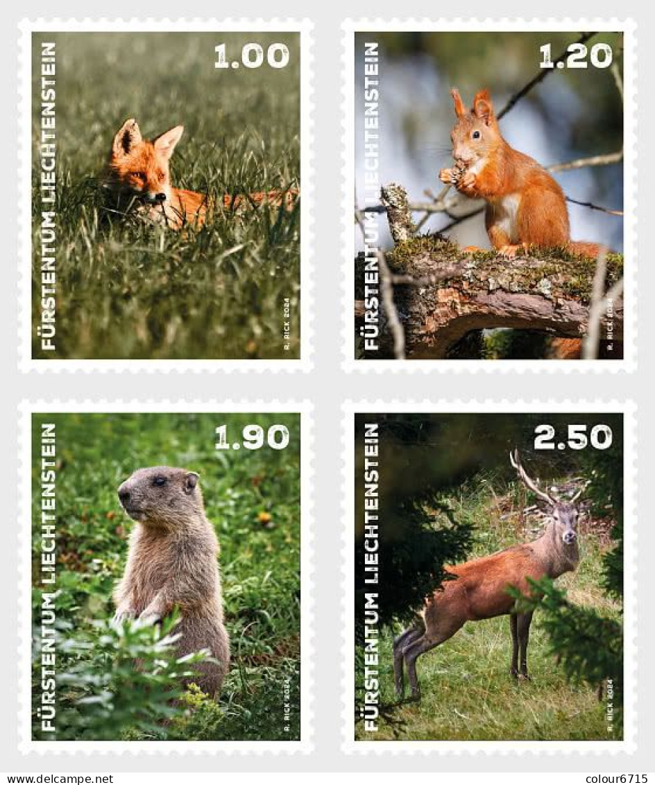 Liechtenstein 2024 Wild Animals In Liechtenstein Stamps 4v MNH - Nuevos