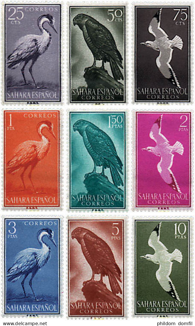 31818 MNH SAHARA ESPAÑOL 1959 AVES - Spanish Sahara