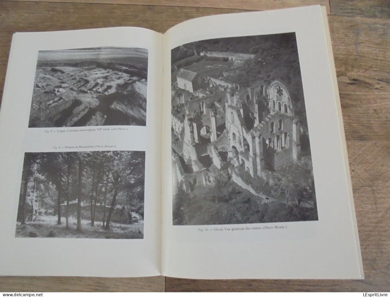 LA GAUME Quelques Aspects de la Terre et des Hommes Régionalisme Folklore Orval Montquitin Saint Mard Torgny Florenville