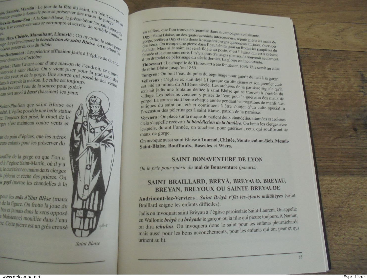 SAINTS GUERISSEURS DE WALLONIE ET D'ARDENNE Régionalisme Maladie Saint Roch Géry Eloi Méen Mort Sainte Odile Rita - Belgien