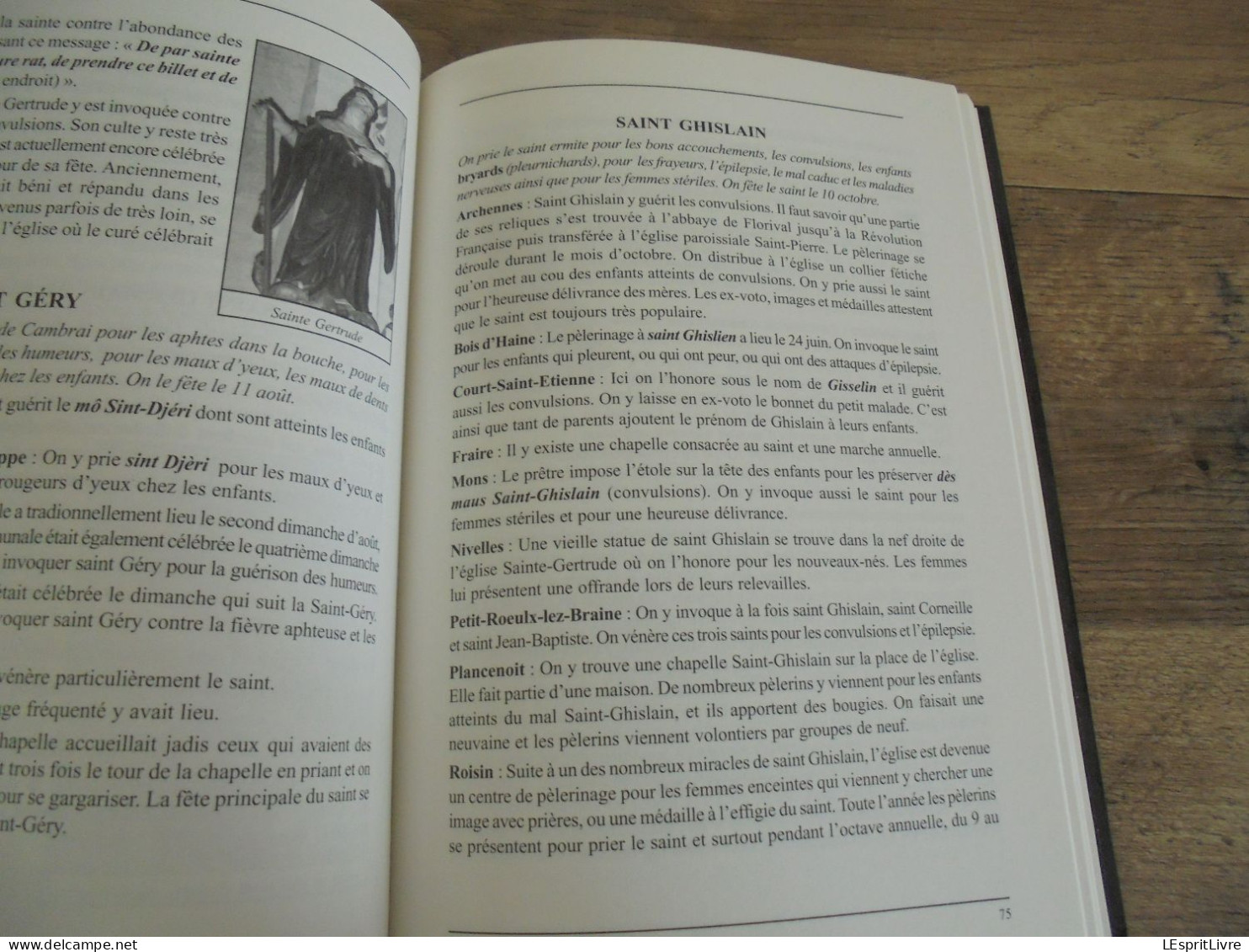 SAINTS GUERISSEURS DE WALLONIE ET D'ARDENNE Régionalisme Maladie Saint Roch Géry Eloi Méen Mort Sainte Odile Rita