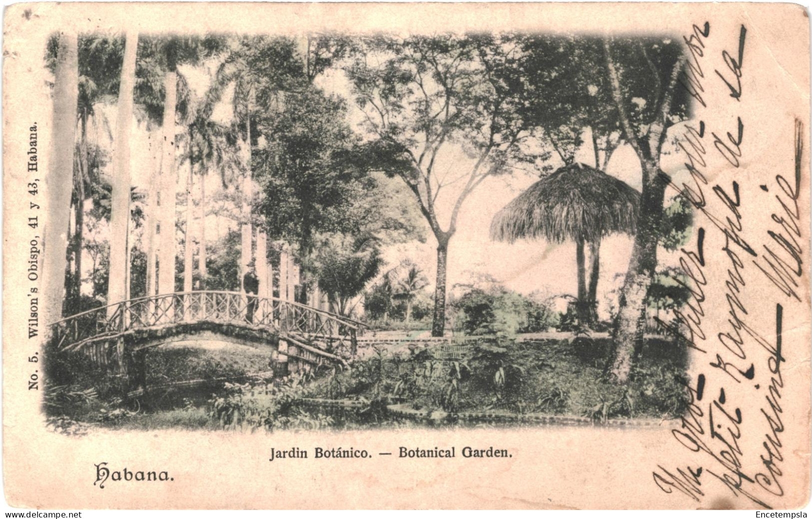 CPA Carte Postale Cuba Habana Jardin Botanico  VM80838 - Autres & Non Classés