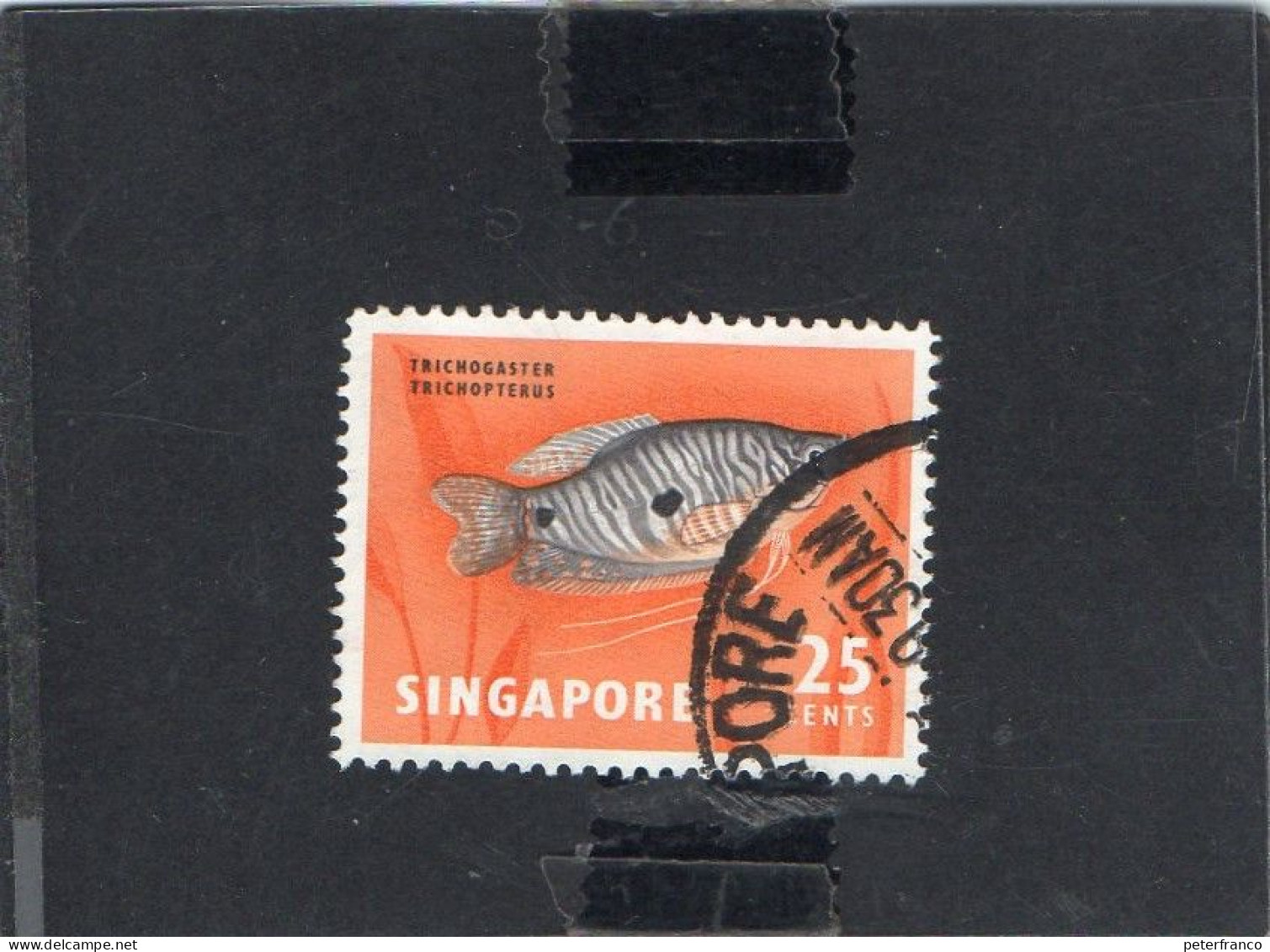 1962 Singapore - Pesce - Fische