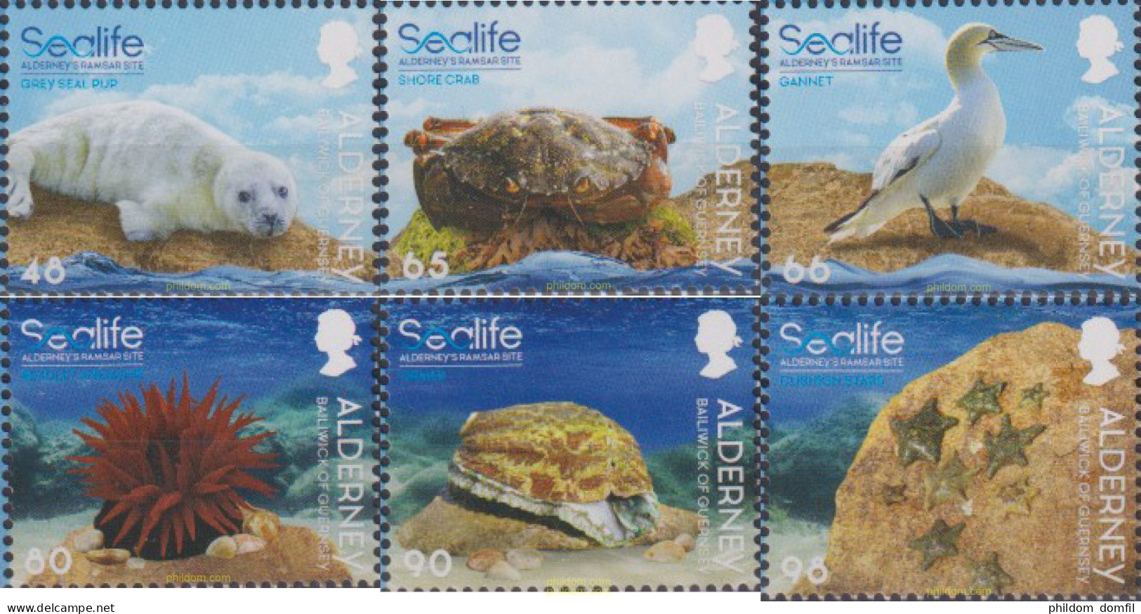 622645 MNH ALDERNEY 2020 VIDA MARINA - Alderney