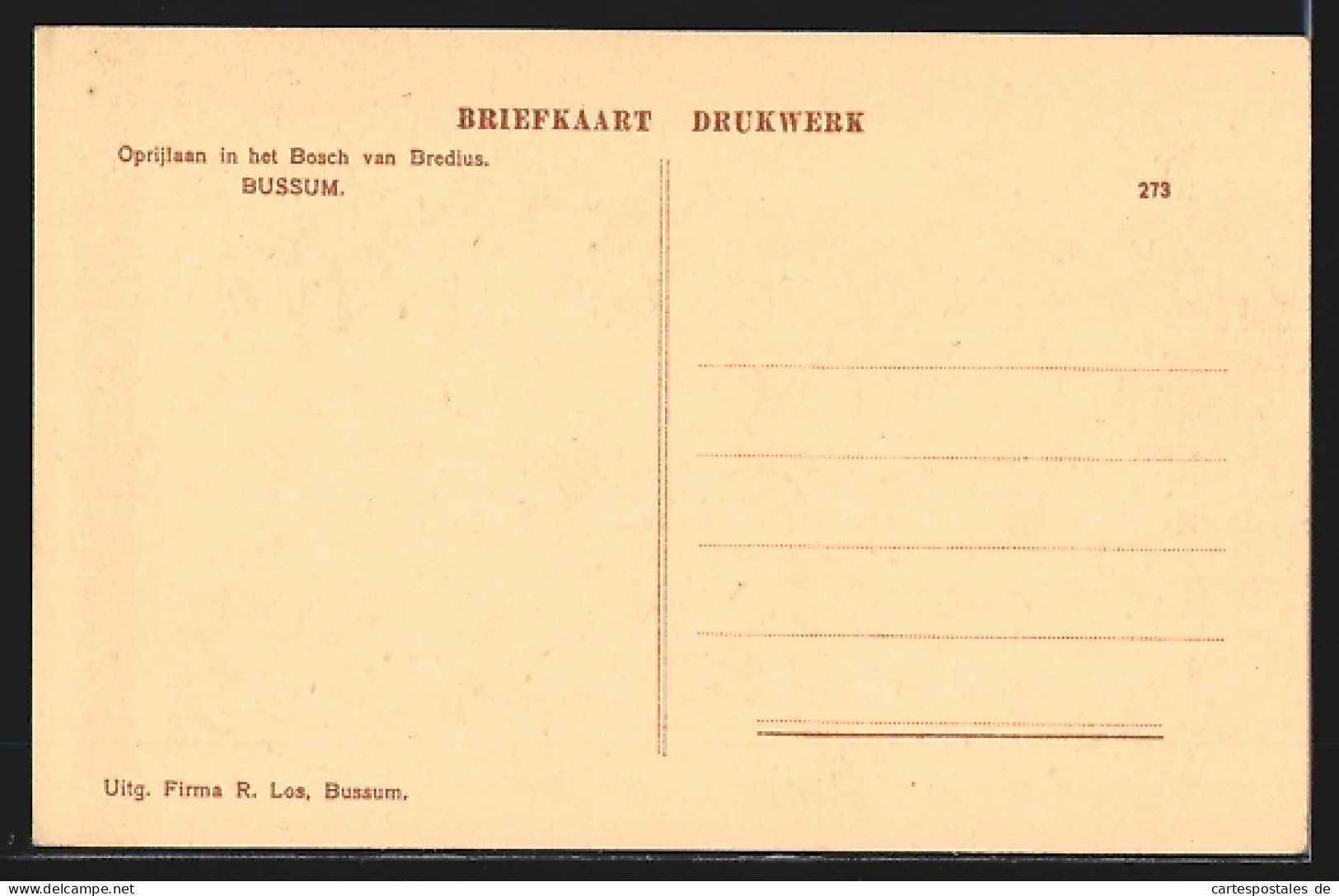 AK Bussum, Oprijlaan In Het Bosch Van Bredius  - Bussum