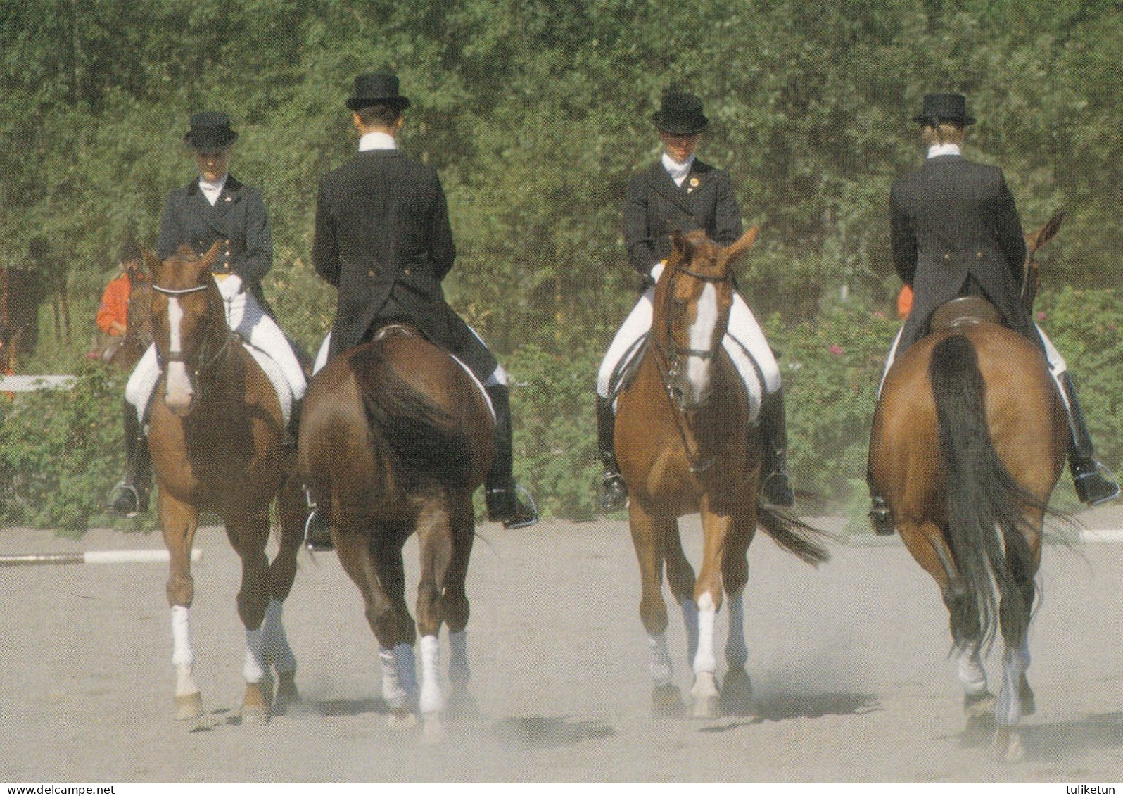 Horse - Cheval - Paard - Pferd - Cavallo - Cavalo - Caballo - Dressage - Youth European Championship Silver Team 1989 - Pferde
