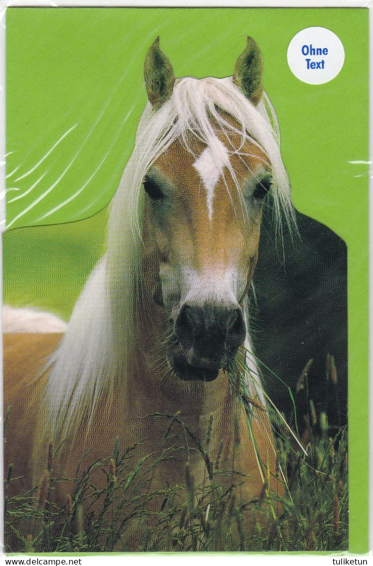 Horse - Cheval - Paard - Pferd - Cavallo - Cavalo - Caballo - Häst - Horn - Double Card - In An Original Plastic Sleeve - Horses