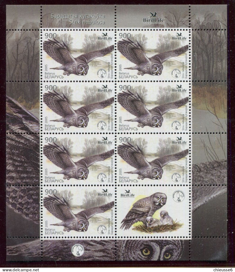 Bielorussie ** N° F523 En Feuillet - Oiseaux : Chouette - Wit-Rusland