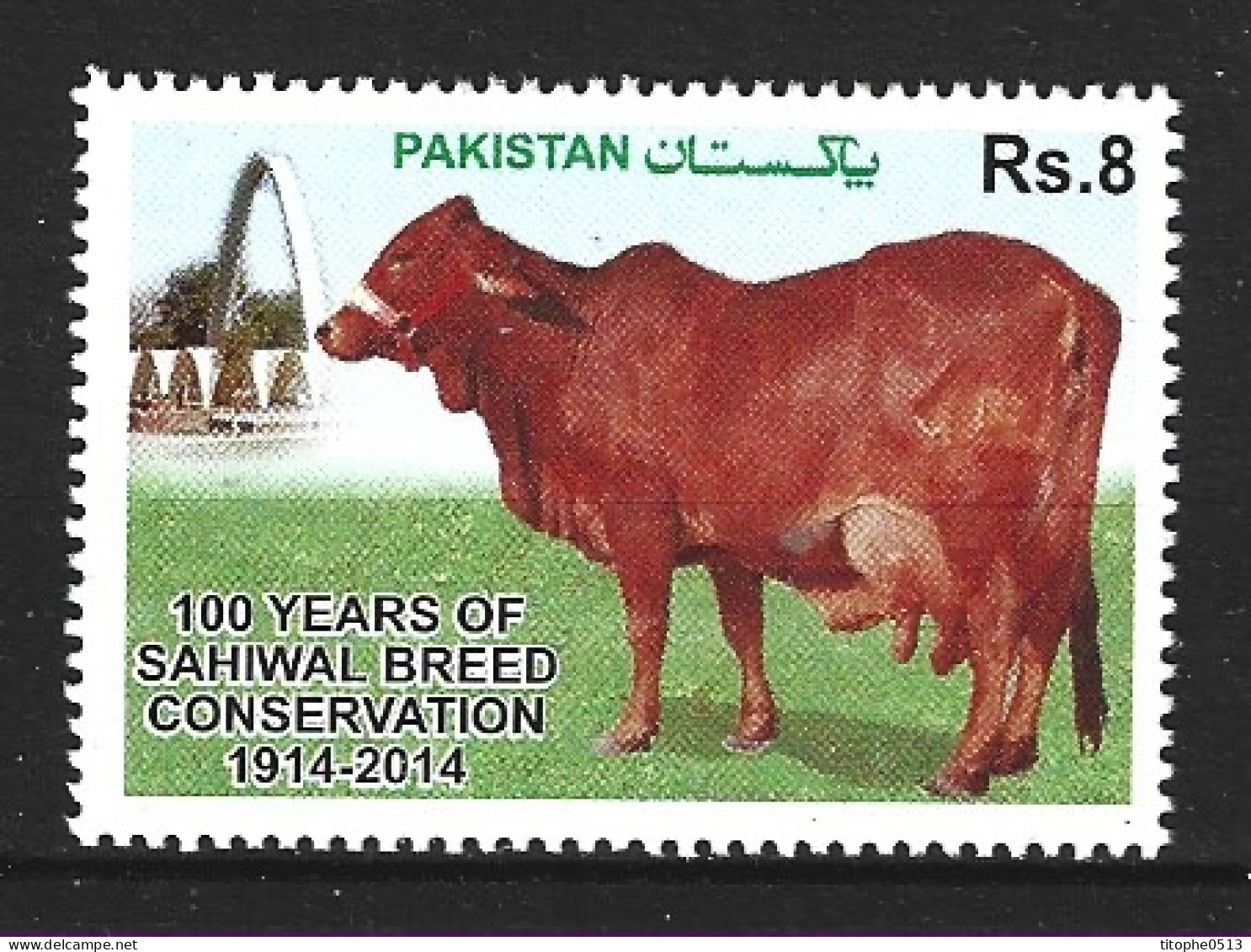 PAKISTAN. N°1404 De 2014. Vache. - Cows