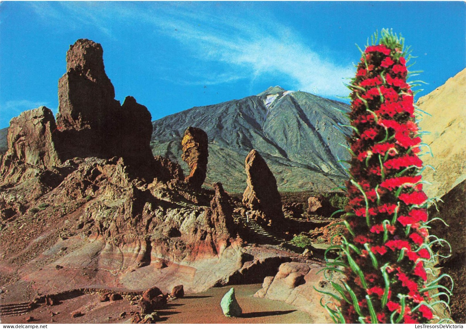 ESPAGNE - Teide - Le Pic Vu Des Roques - Carte Postale - Tenerife