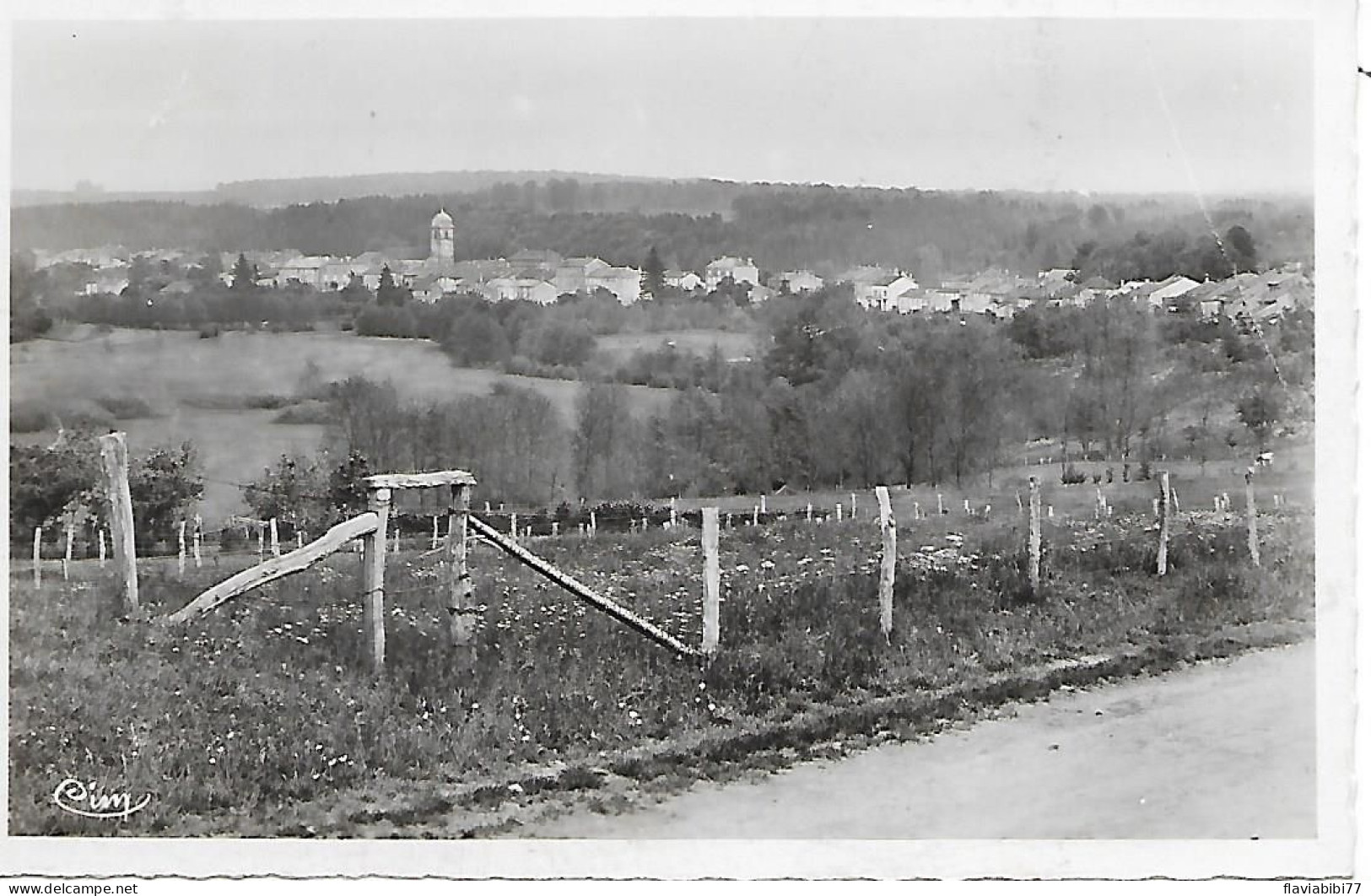 MONTHUREUX  SUR SAONE   - ( 88 ) -  Vue Générale  ( C. P. S. M- Pt -Ft ) - Monthureux Sur Saone