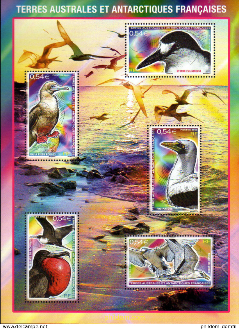 220109 MNH ANTARTIDA FRANCESA 2008 AVES DE LAS ISLAS - Ungebraucht