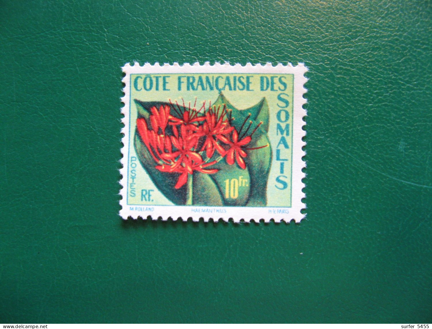 COTE DES SOMALIS - YVERT POSTE ORDINAIRE N° 290 - TIMBRE NEUF** LUXE - MNH - COTE 5,00 EUROS - Nuevos