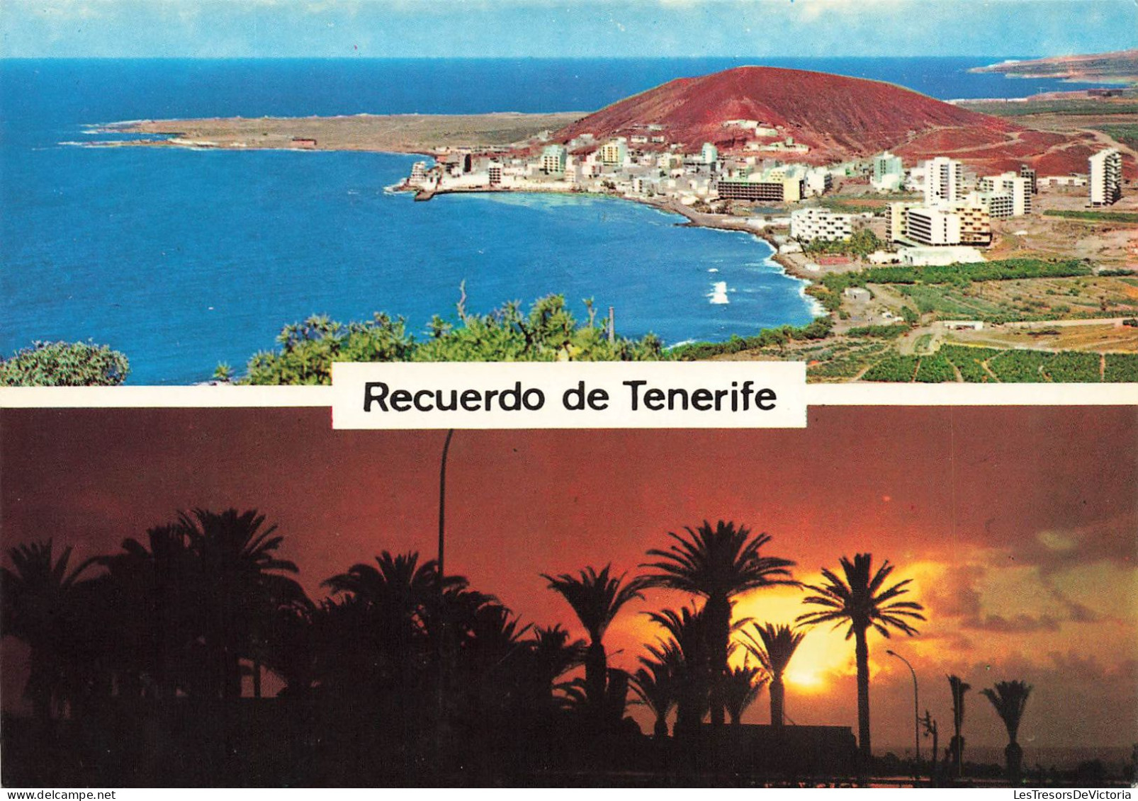 ESPAGNE - Tenerife - Vue De Los Cristianos - Carte Postale - Tenerife