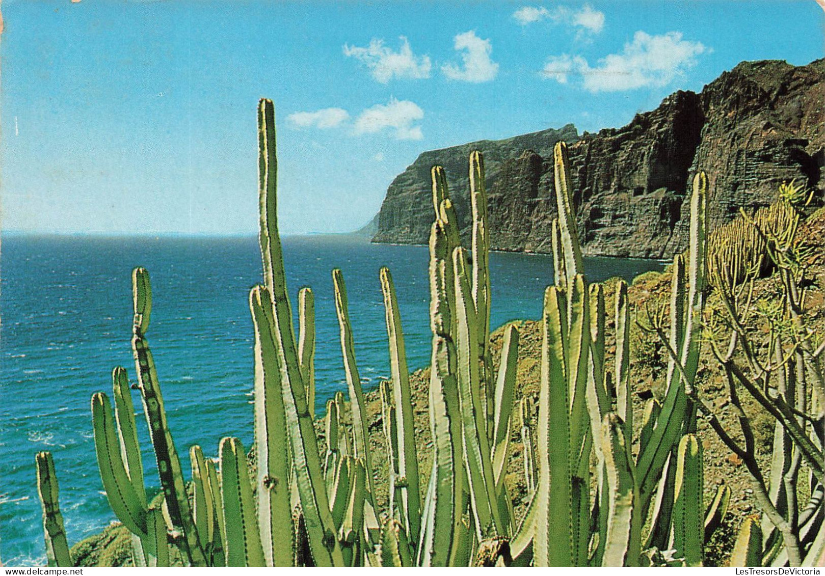 ESPAGNE - Tenerife - Los Gigantes - Panorama De La Côte - Carte Postale - Tenerife