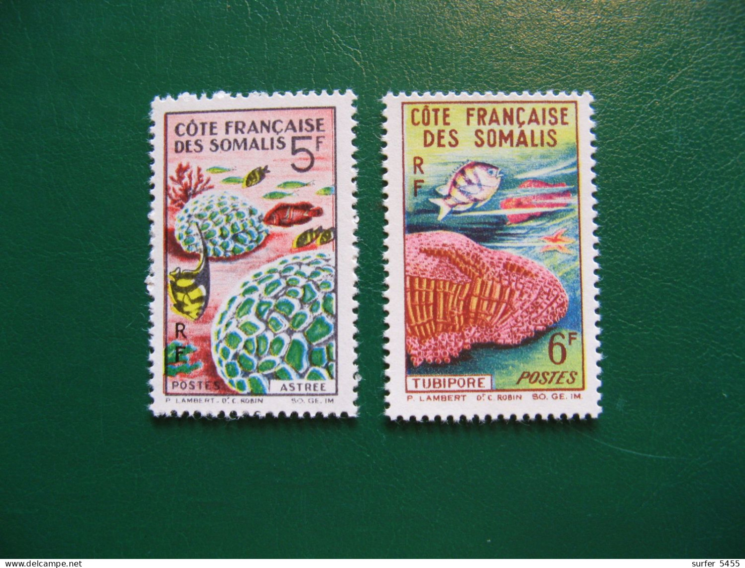 COTE DES SOMALIS - YVERT POSTE ORDINAIRE N° 316/317 - TIMBRES NEUFS** LUXE - MNH - COTE 7,00 EUROS - Ungebraucht