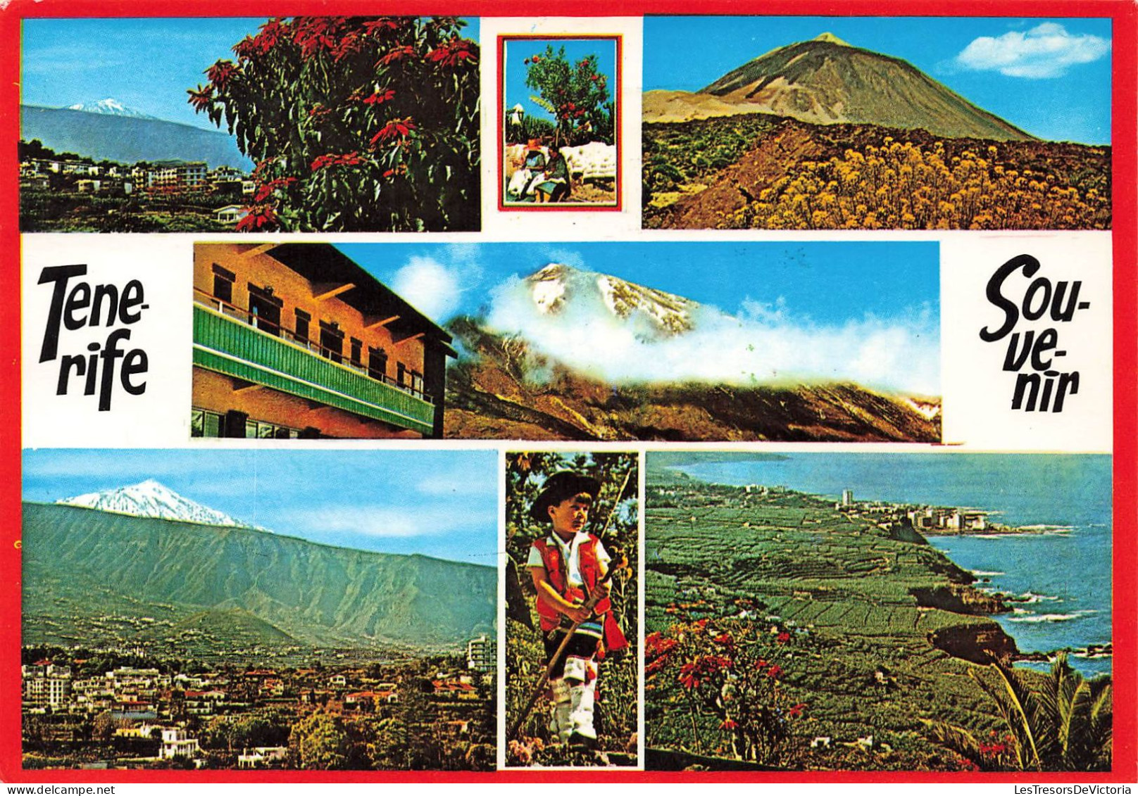 ESPAGNE - Tenerife - Souvenir - Folklore - Montagnes - Maison - Carte Postale - Tenerife