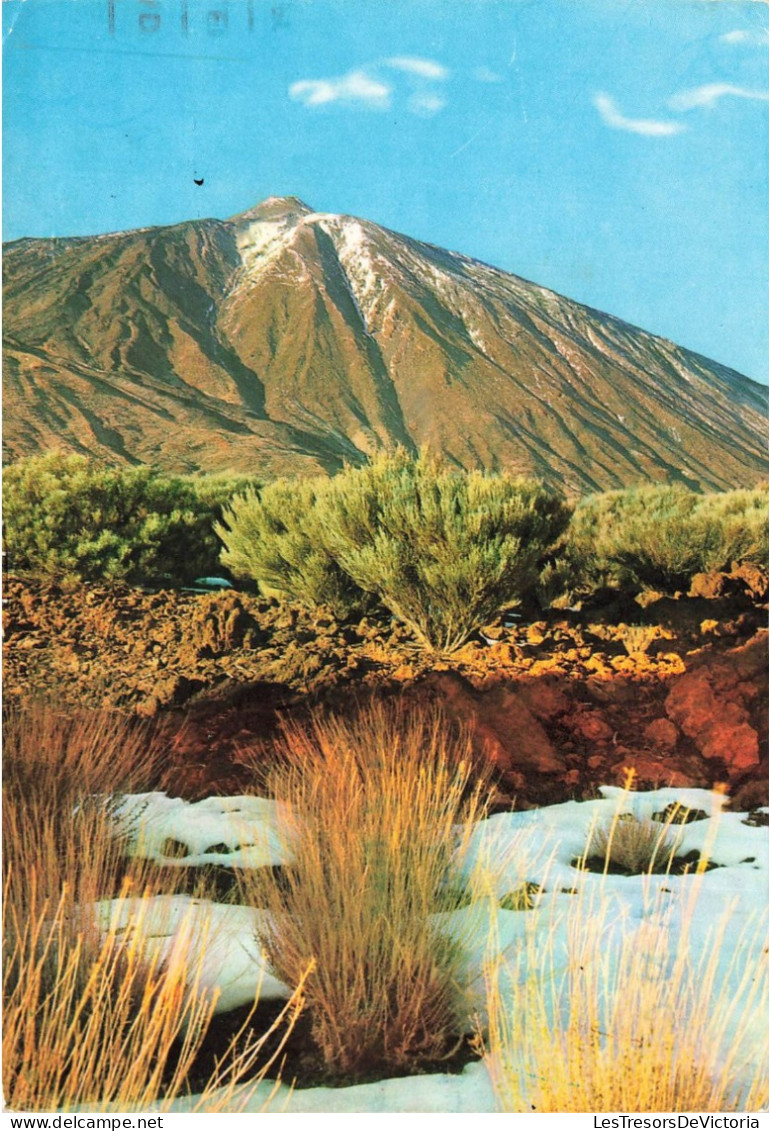 ESPAGNE - Tenerife - Mont Teide - Carte Postale - Tenerife