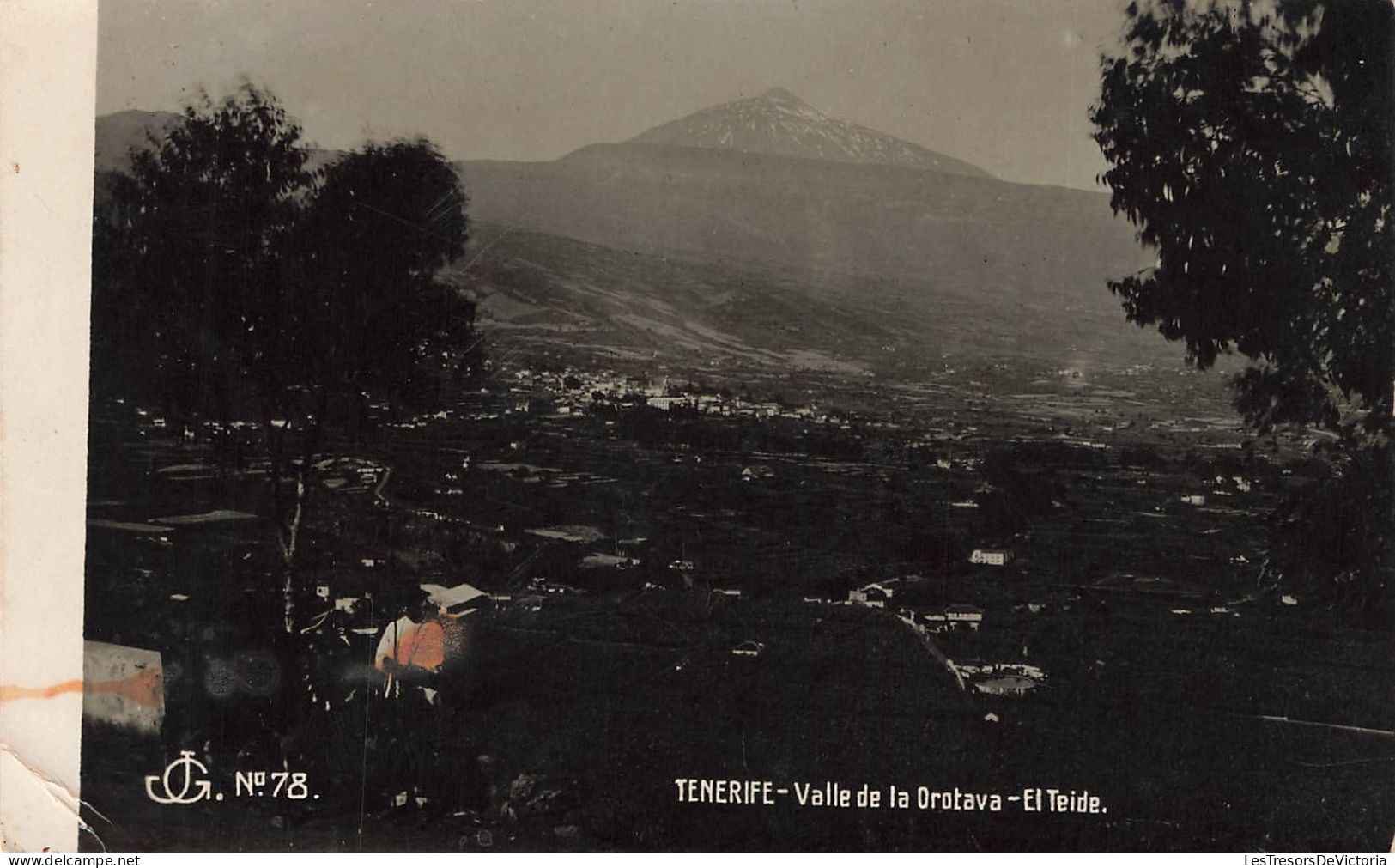 ESPAGNE - Tenerife - Valle De La Orotava - El Teide - Carte Postale - Tenerife
