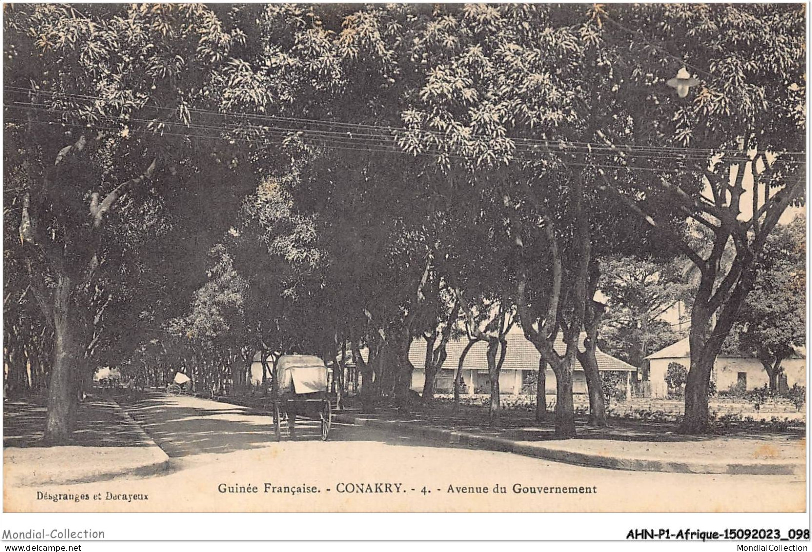 AHNP1-0049 - AFRIQUE - CONAKRY - Avenue Du Gouvernement  - Guinée Française