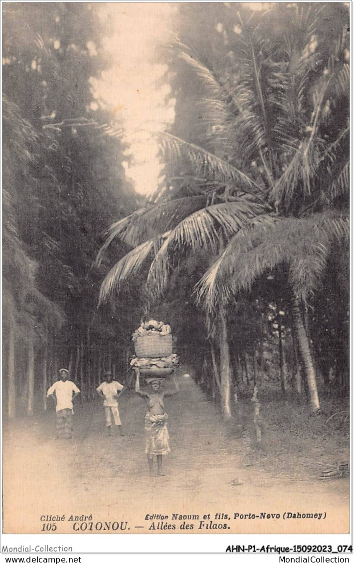 AHNP1-0037 - AFRIQUE - BENIN - COTONOU - Allées Des Filaos - Benin