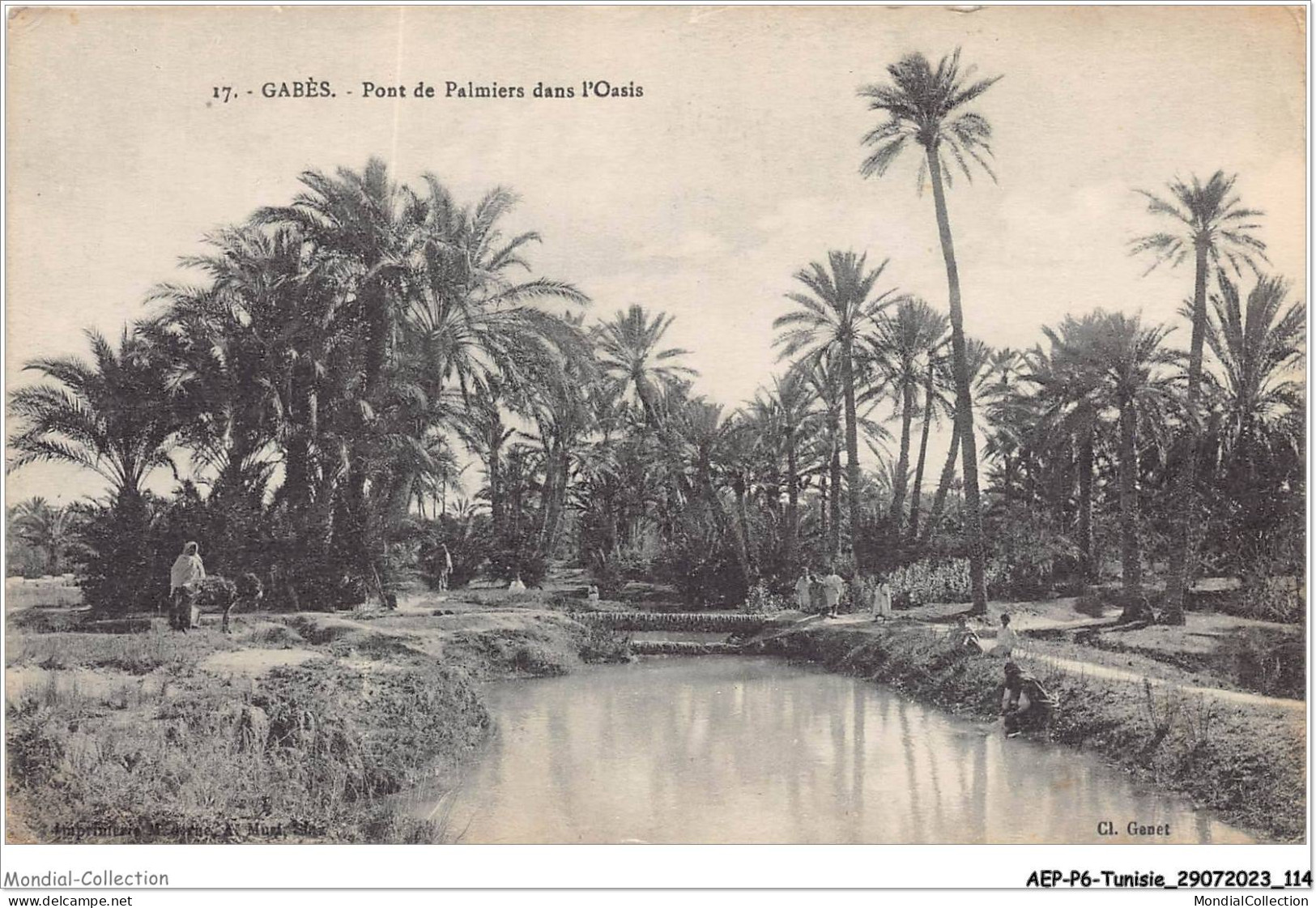 AEPP6-TUNISIE-0524 - GABES - PONT DE PALMIERS DANS L'OASIS - Tunisia