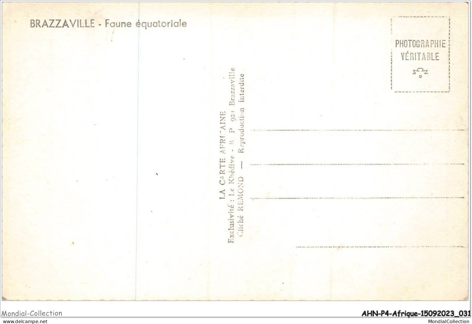 AHNP4-0406 - AFRIQUE - BRAZZAVILLE - Faune équatoriale - Brazzaville