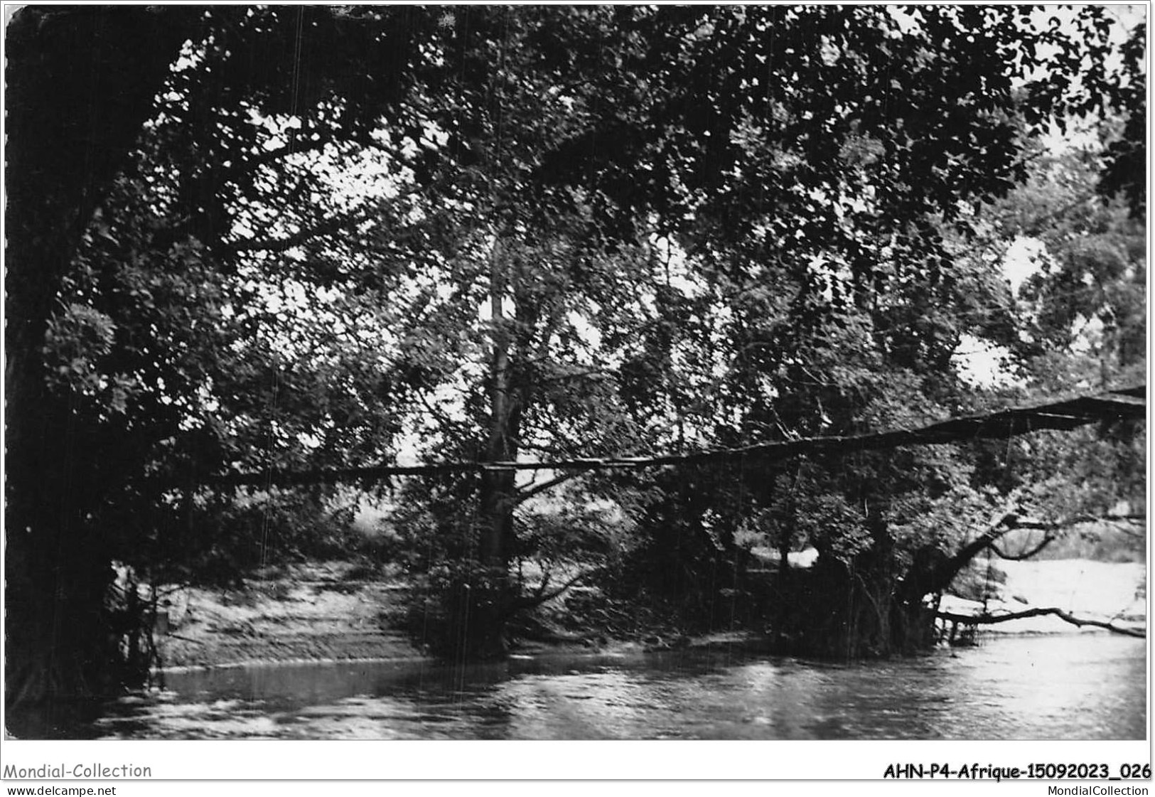 AHNP4-0404 - AFRIQUE - Le Pont De Lianes Sur Le Djoné - Brazzaville