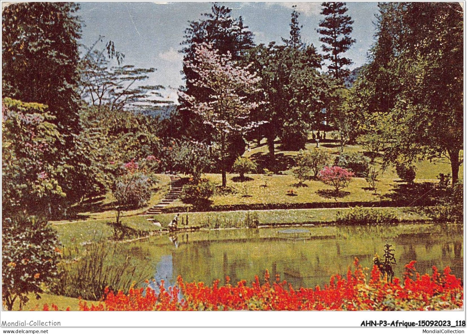 AHNP3-0329 - AFRIQUE - Lake Drive-peradeniya Gardens - Sri Lanka - Unclassified