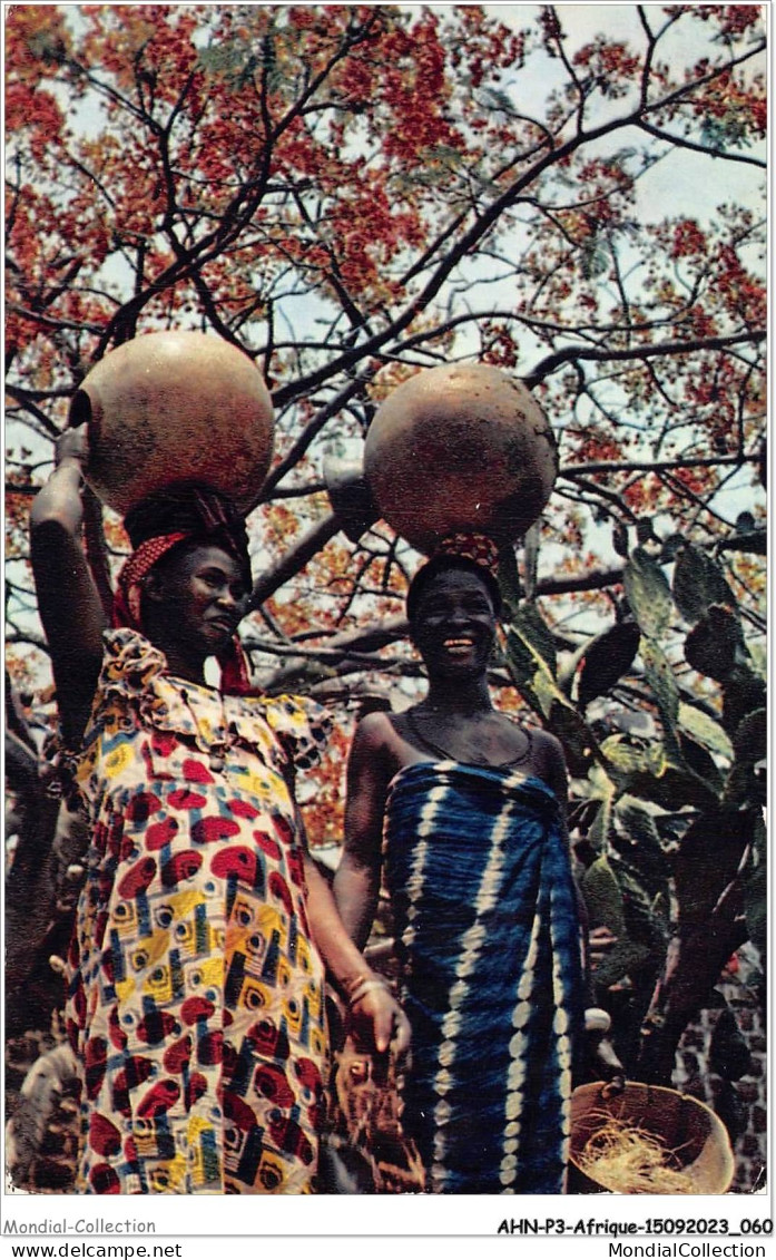 AHNP3-0300 - AFRIQUE - Jeunes Femmes Sous Un Flamboyant - Unclassified