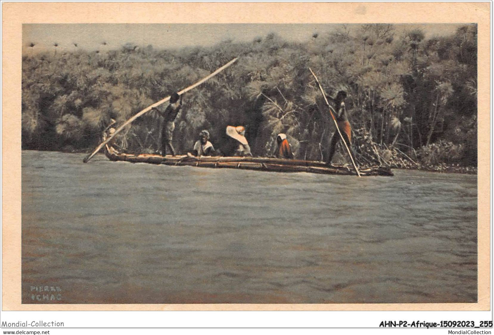 AHNP2-0255 - AFRIQUE - TCHAD - Daris Les Papyrus Du Lac Tchad - Tchad
