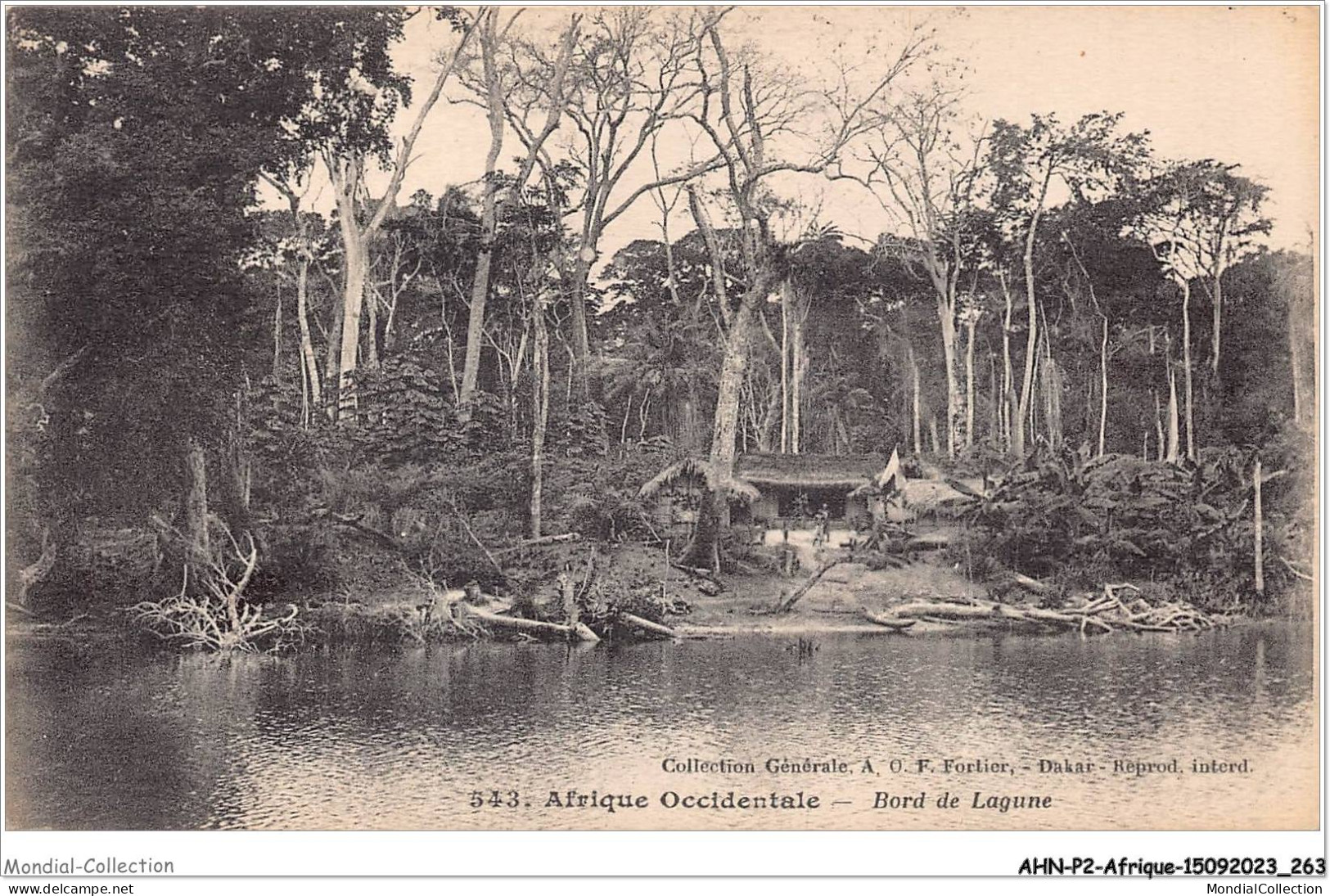 AHNP2-0259 - AFRIQUE - AFRIQUE OCCIDENTALE - Bord De Lagune  - Unclassified